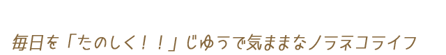 毎日を「たのしく！！」じゆうで気ままなノラネコライフ