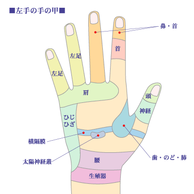 手の甲◆ツボ-図解-画像