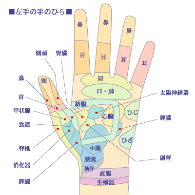 手のひら◆ツボ-図解-画像