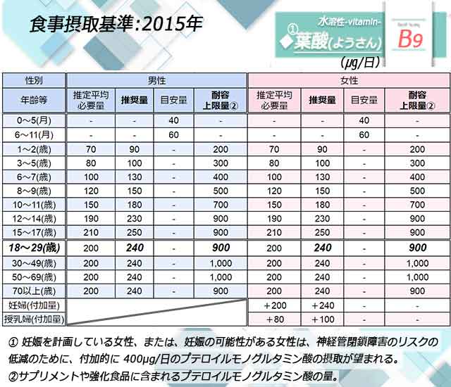 「葉酸」日本人の食事摂取基準◆画像